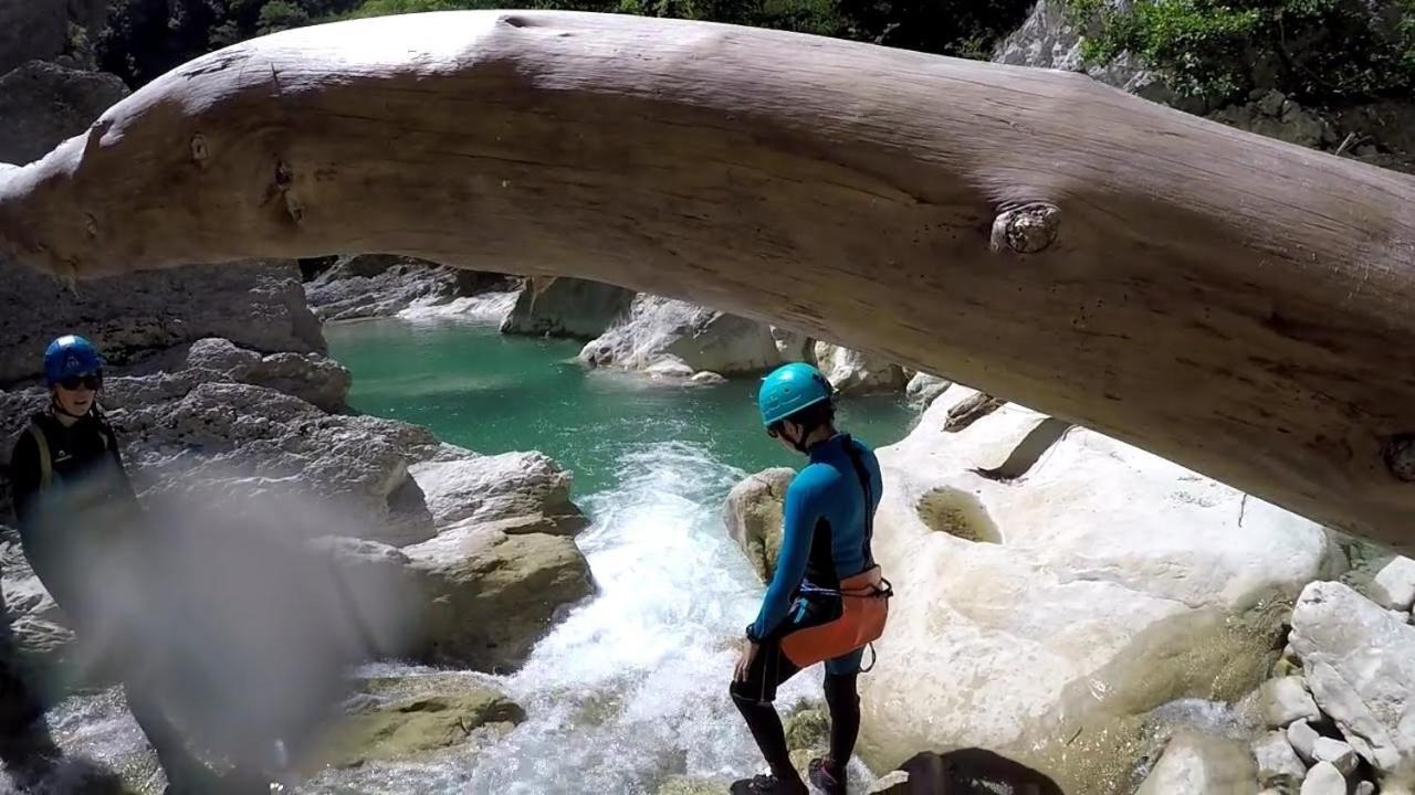 Le Du Berger *